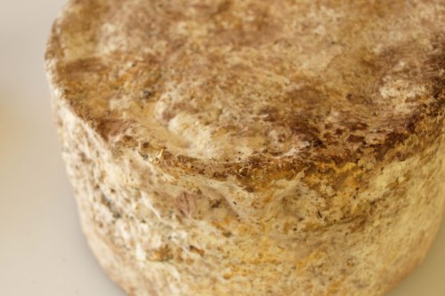 Wandering Shepherd--Check out that Rind!