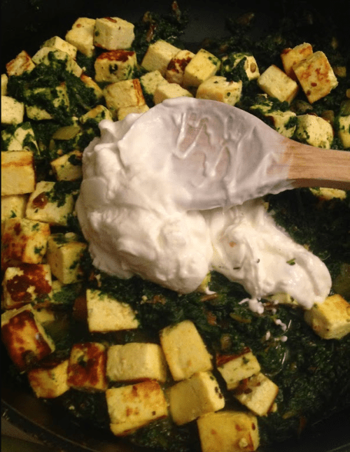 Yogurt Paneer