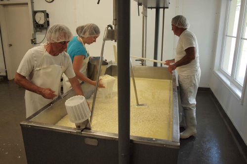 Making cheese at Fromagerie-du-presbytere